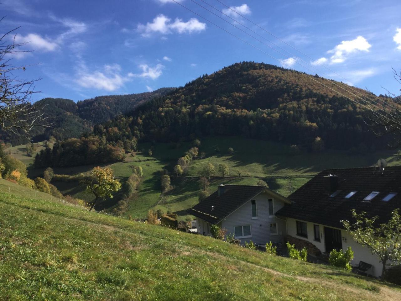 曼斯特陶Erikas Haus公寓 外观 照片